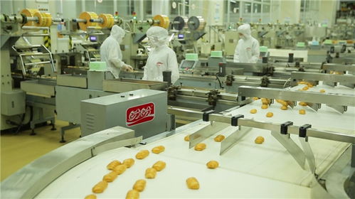 為巴黎奧運喝彩，盼盼之家巴黎體驗店閃耀法國街頭